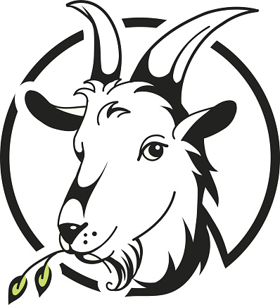 Head of goat on white background, vector illustration