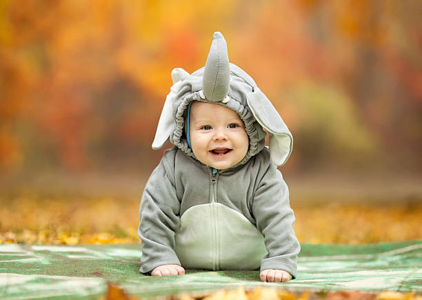 istock Baby boy dressed in elephant costume outdoors 479798002
