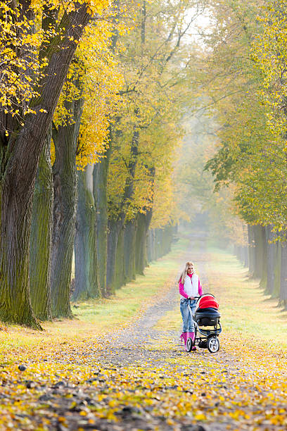 istock woman with a pram 479798274
