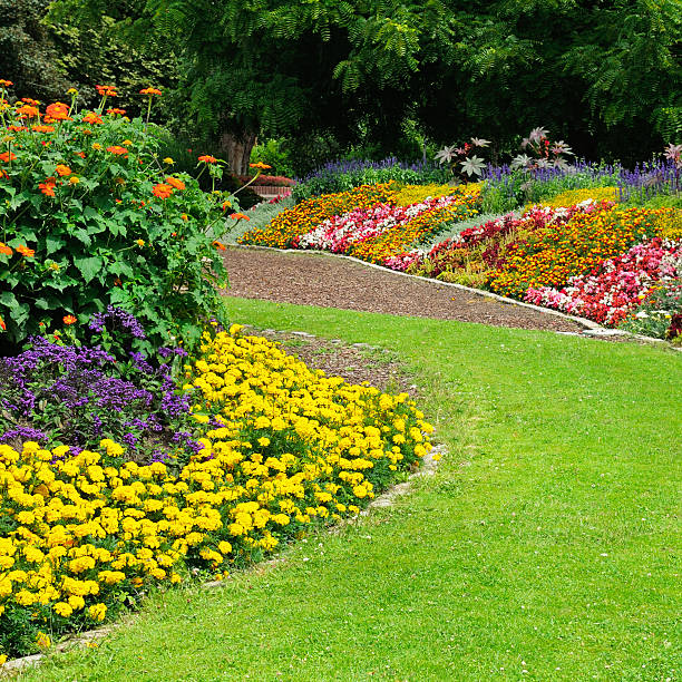 istock flowerbeds in the park 479798946