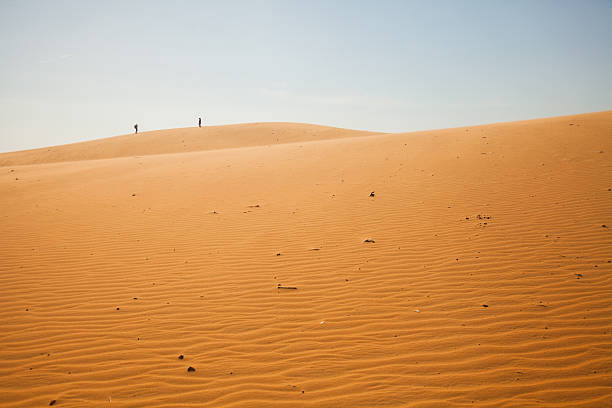 istock The traveler in the desert 479799902