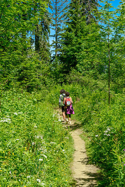 istock Two hikers walking in the mountains 479801010