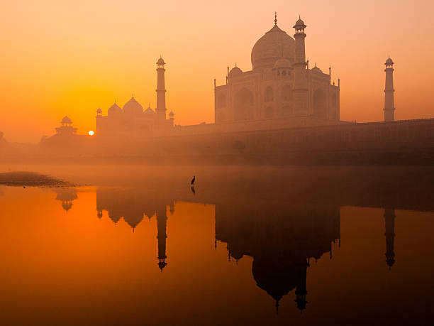 taj mahal ao nascer do sol - taj mahal - fotografias e filmes do acervo