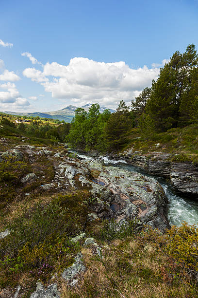 istock Mountainous landscape with waterfall in the Norwegian mountains. 479804340