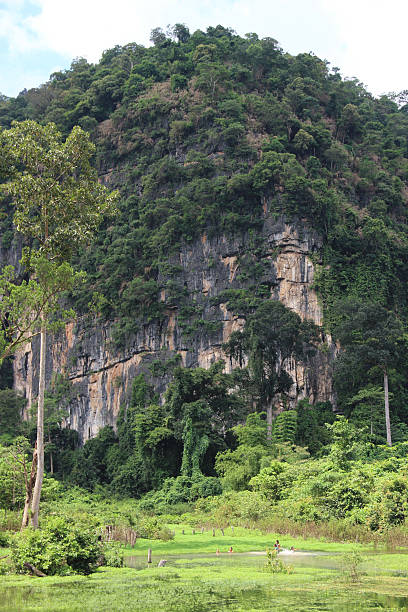istock Swiming into the Wild - Thakhek, Laos. 479804406