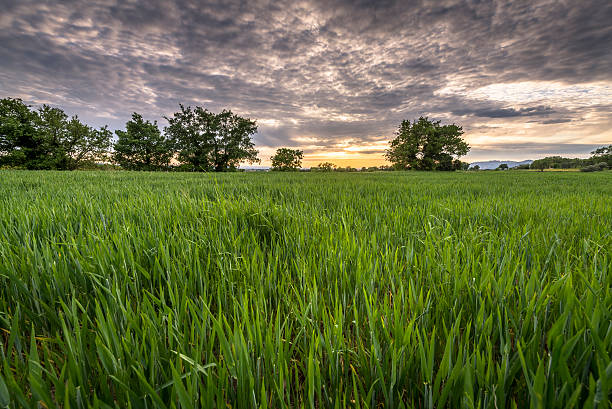 istock Sunset in france 479804962
