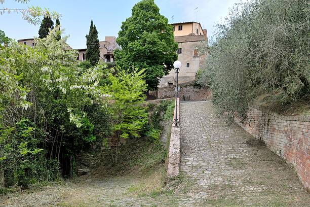 istock paved road to Certaldo Alto 479810200
