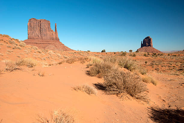 istock Monument Valley, Navajo Tribal Park, USA 479814134