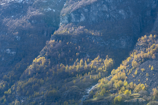 Spring Forest in canyons view in Norway