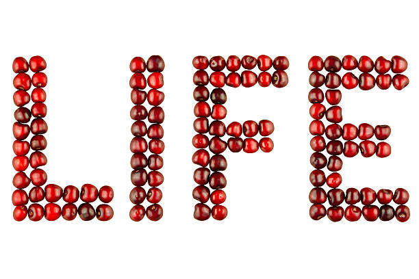 istock Word of berries cherries - life 479818338