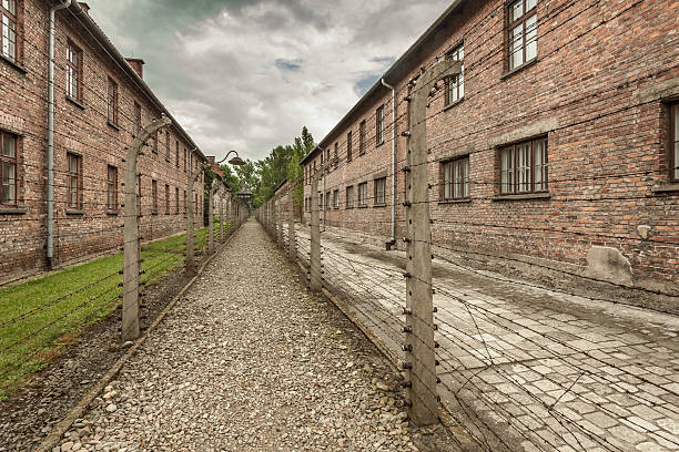 filo spinato recinzione in auschwitz i. campo di concentramento - auschwitz foto e immagini stock