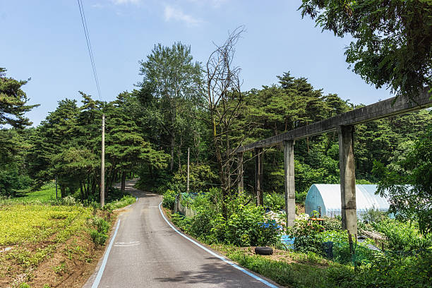 istock rural farm road 479822188