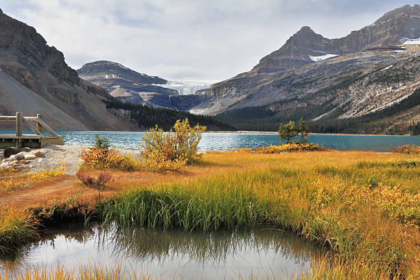 istock Mountains and pines at the mountain river Banff 479825534