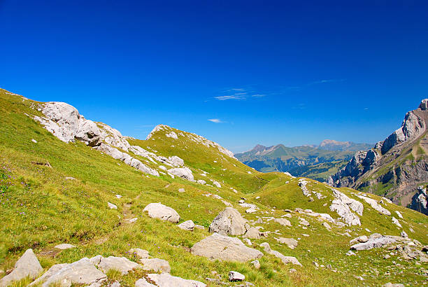 istock Swiss landscape in the alps 479825658