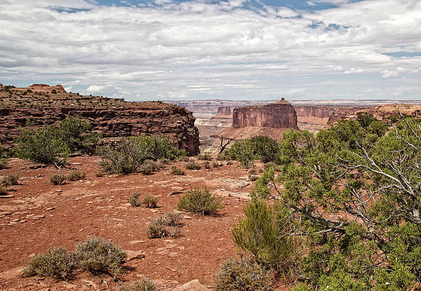 istock Canyonlands National Park 479828234