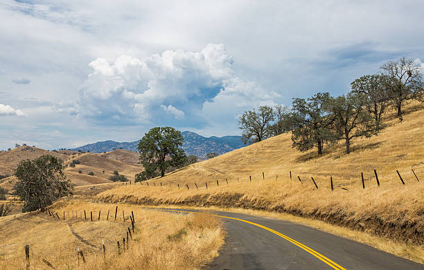 road hasta woody - hill green california grass fotografías e imágenes de stock