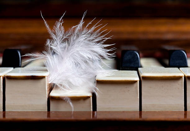 istock Light Music. Feather pushing piano key 479830978