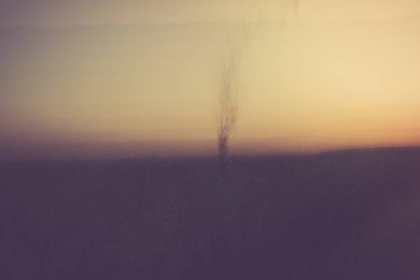 istock Abstract blurry landscape background of field 479831152