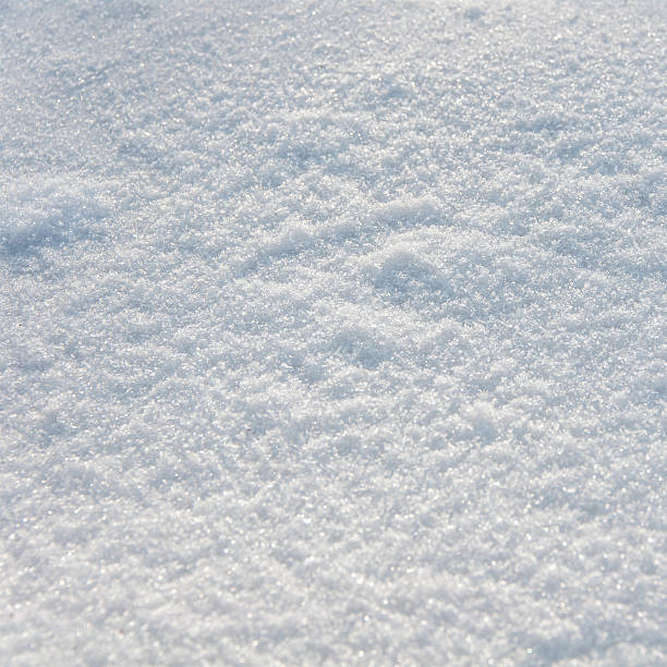 istock background of fresh snow 479831376