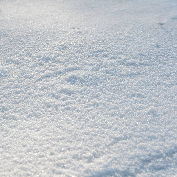 istock background of fresh snow 479831382