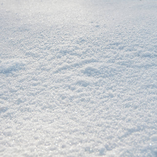 istock background of fresh snow 479831384