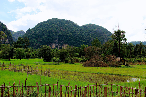 The sunny sky brighten the land, exposing green rice fields and the fascinating reliefs of Thakhek backcountry.