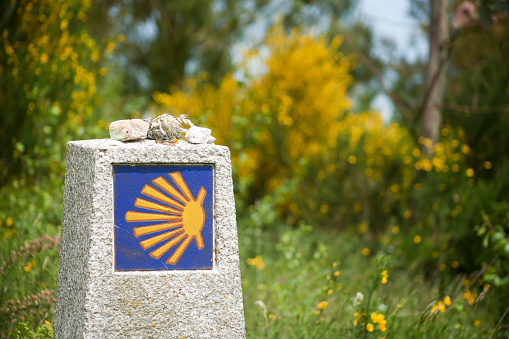 Spring time view of tile with pilgrims shell, main symbol of the \