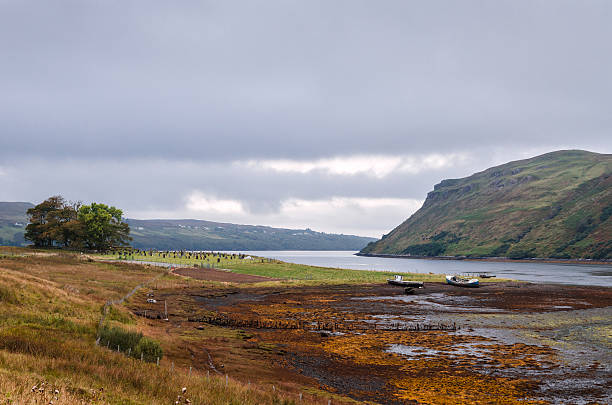 istock Highlands landscape, Scotland 479849488