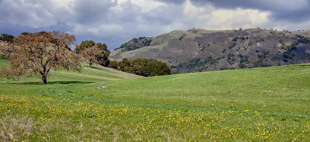 istock Clearing Winter Storm, California Central Valley 479850248