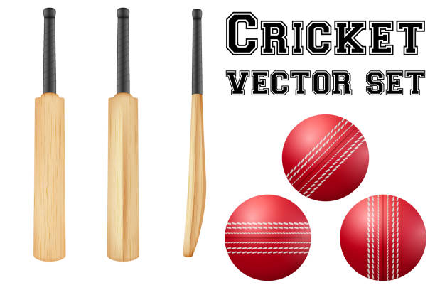 istock Traditional wood cricket bats and balls 479850294