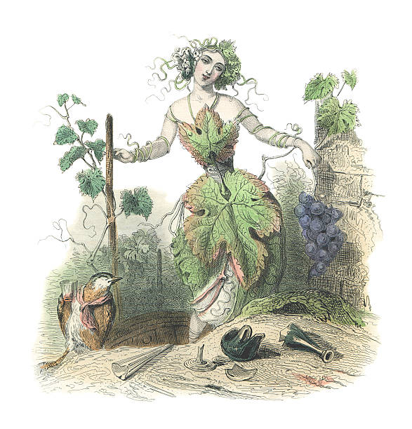 Grape Vine Personified A caricature of the grape vine as a tipsy woman from J. J. Grandville's  aquatint stock illustrations