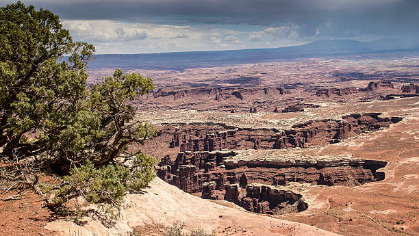 istock Canyonlands National Park 479852330