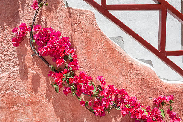 istock Beautiful architecture and flowers. 479862970