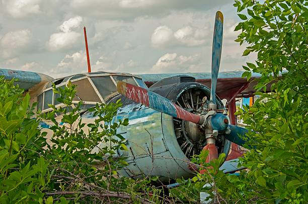 istock Abandoned old plane ruins in a forest- cockpit view 479864104
