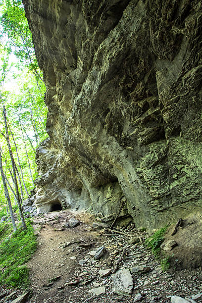 istock Hiking Trail Carter Caves State Park In Vertical Orientation 479867790