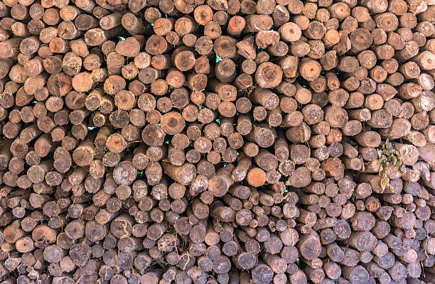 istock Firewood stacked up in a pile 479868504