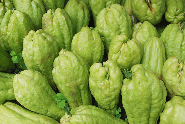 chayote Fresh chayotes from a morning market Christophine stock pictures, royalty-free photos & images