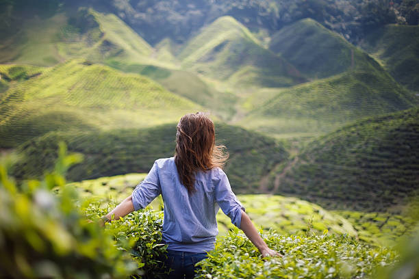 istock girl in mountains 479870474