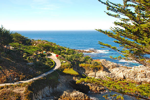 istock Point Lobos State Reserve, Monterey Peninsula, California Coast 479874223