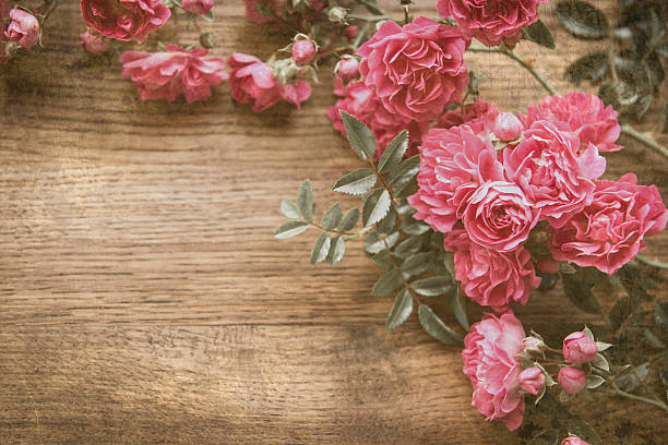 Grunge texture with floral background vintage style. Romantic pink roses.