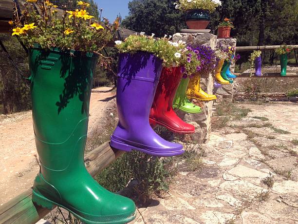Flowers of various types in original pots, wellies.