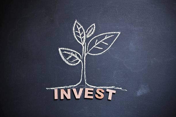 istock Drawing of a plant with concept on blackboard 479882048