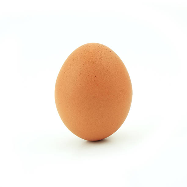 one egg isolated on white background one egg isolated on white background egg white stock pictures, royalty-free photos & images