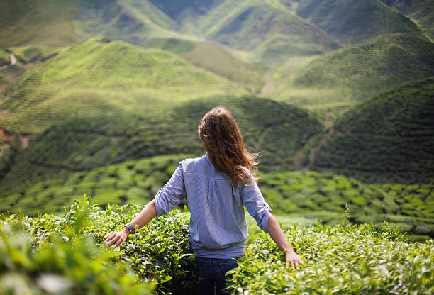 istock girl in mountains 479883038