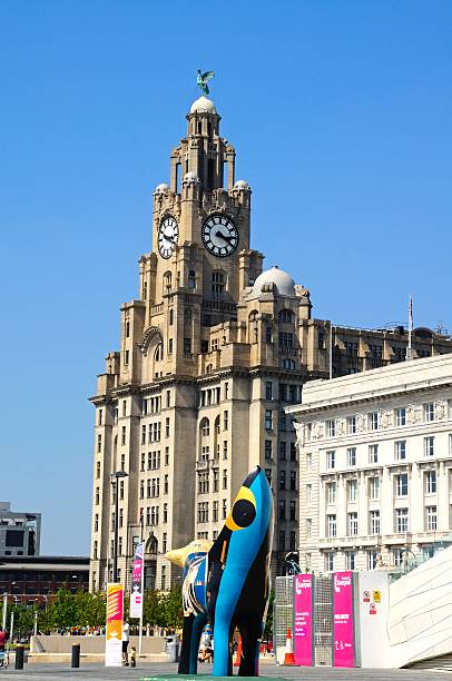 The Royal Liver Building, Liverpool. Liverpool, United Kingdom - June 11, 2015: The Royal Liver Building with a Superlambanana in the foreground at Pier Head and tourists enjoying the sights, Liverpool, Merseyside, England, UK, Western Europe. superlambanana sculpture in liverpool stock pictures, royalty-free photos & images