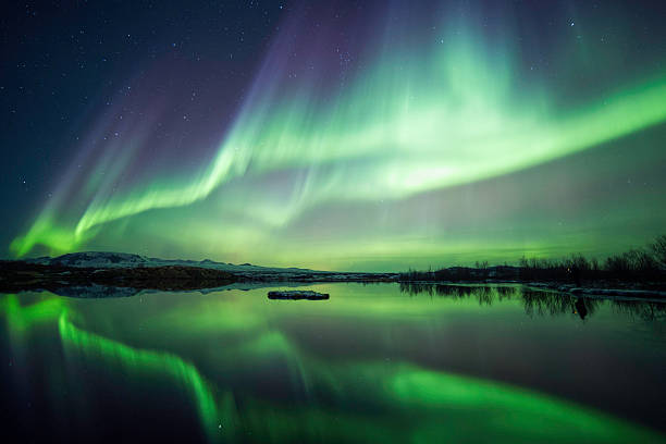 Winter Night Northern lights blazing over lake Thingvellir national park in Iceland iceland stock pictures, royalty-free photos & images