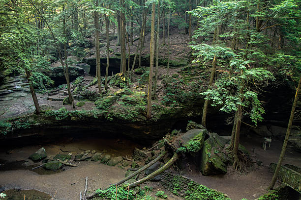 istock Hocking Hills State Park Saves Hemlock Forest 479888118