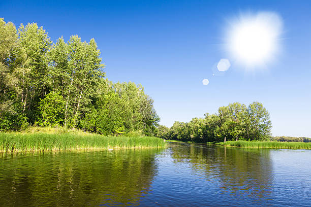 istock Summer landscape with forest and lake 479891032
