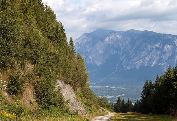 am dreiländereck ö colazione-sterreich-italien-slovenia - bergwiese foto e immagini stock