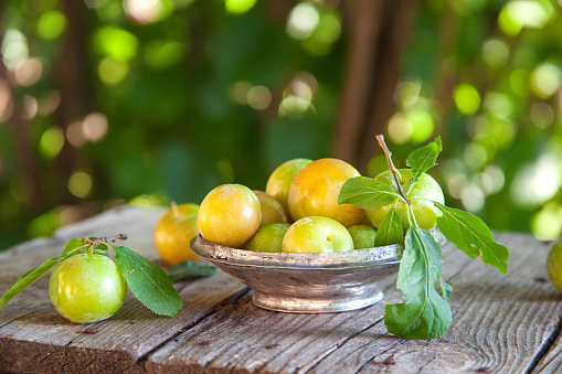 A plate of fresh green plums on a wooden table outdoor